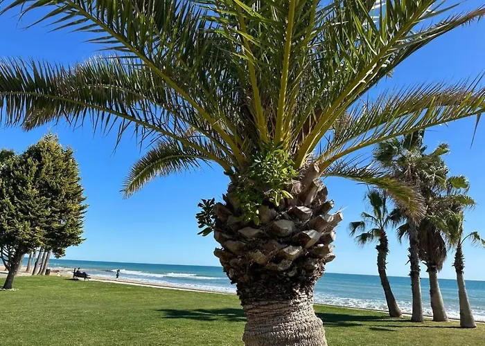 Azahar's Torre La Sal * El Borseral